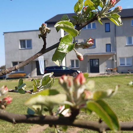 Noclegi Nad Biebrza Stara Szkola Wrocen Екстериор снимка