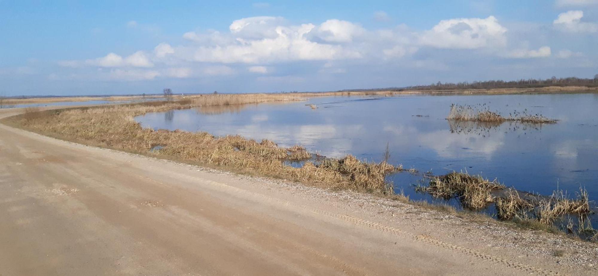 Noclegi Nad Biebrza Stara Szkola Wrocen Екстериор снимка