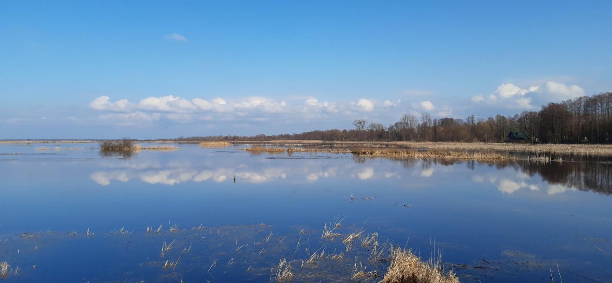 Noclegi Nad Biebrza Stara Szkola Wrocen Екстериор снимка